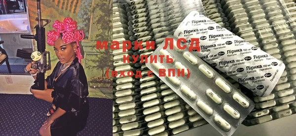индика Чита