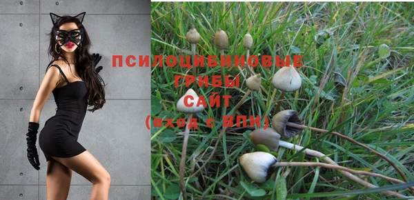 мескалин Аркадак