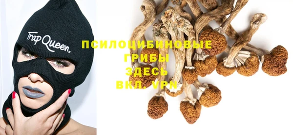мескалин Аркадак