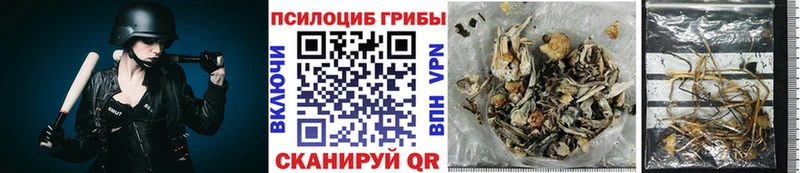 hydra ССЫЛКА  Балтийск  Галлюциногенные грибы MAGIC MUSHROOMS 